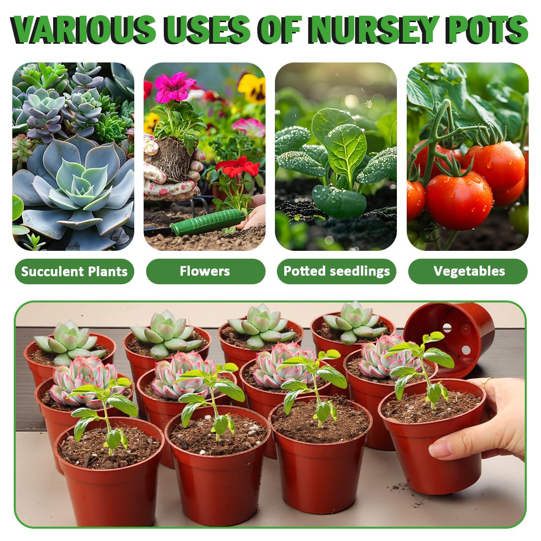 100-Pack 2.5 inches Plus Tiny Round Plant Pots Succulent Seedling Nursery Pots Made from Virgin Grade PP Material(Tiny, 68mm2.5 inch)
