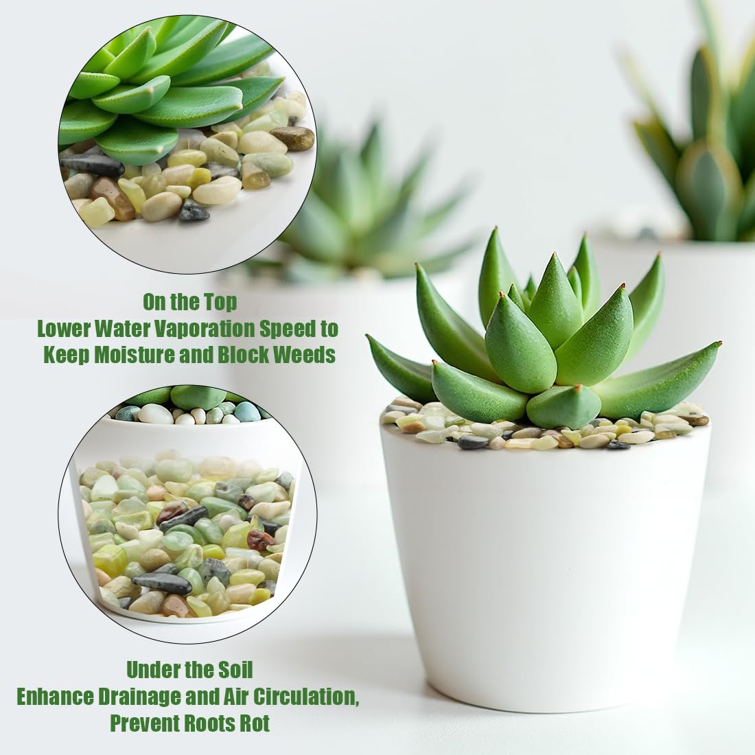 Pebbles for Indoor Plants 5 Lbs, 3/8 Inch Jade Vase Filler, Rocks for Plants Indoor, Stones for Garden Landscaping, Smooth Gravel Filler for Succulents, Cactus, Fish Tank and Vases