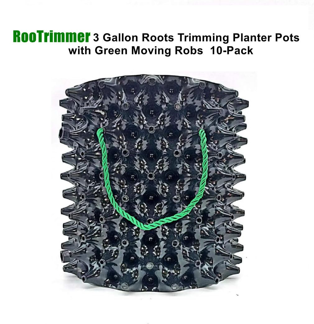 3 Gallon Air Pruning Container New Plastic Nursery Pot Fruit Vegetable Garden self-Planting pots, Size 10"x10", Black