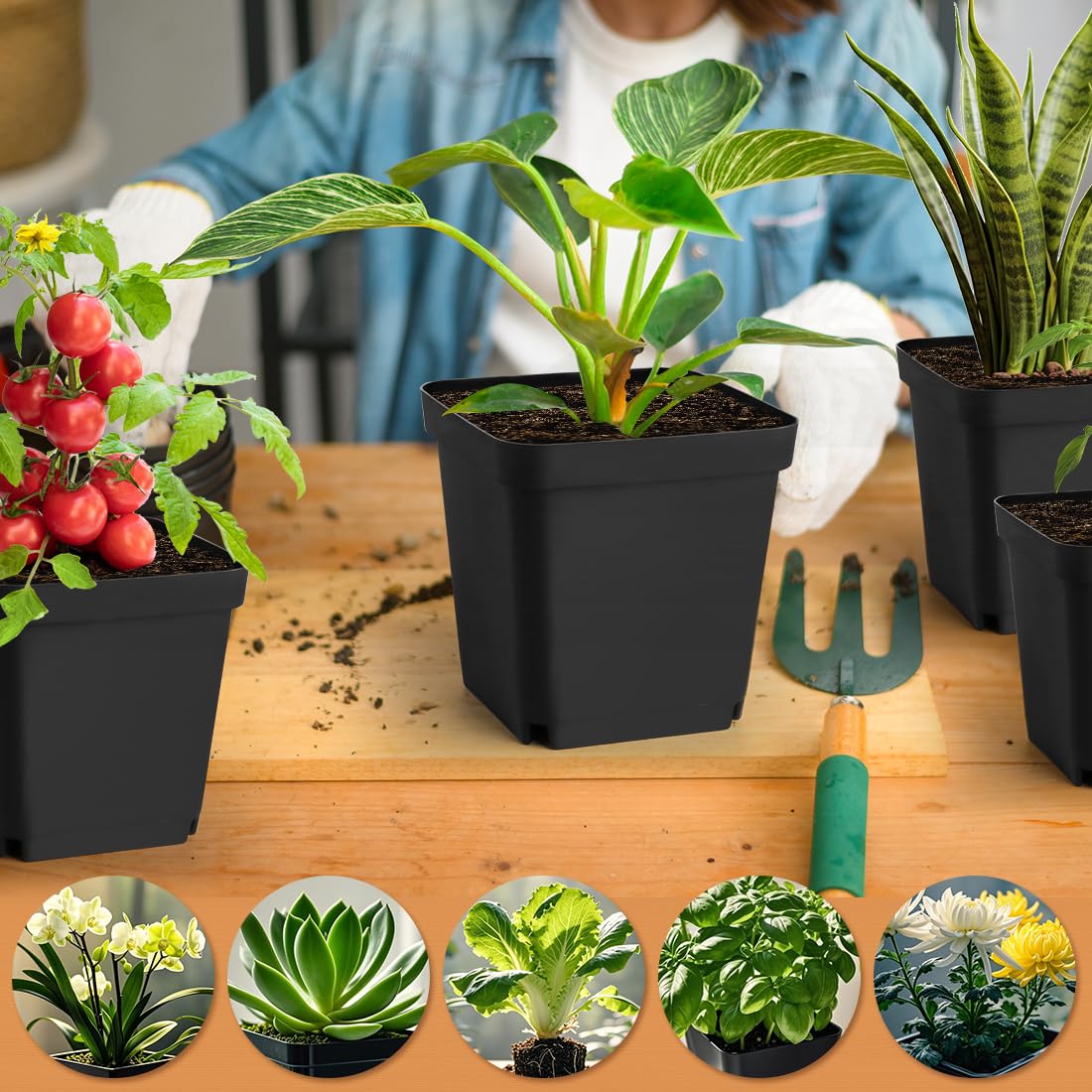 Square Nursery Pots 5.5 Inch, Plastic Plant Pot with Drainage Holes, 30P Reusable Seedling Starter Pots Garden Flower Pots Planters for Indoor Plants, Transplanting, Succulents, Cuttings