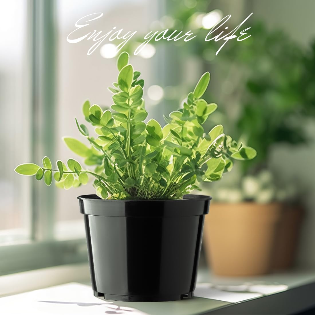 BTPLASTIK 15 Pack 6 Inch Plastic Plant Pots with Drainage Holes, Sturdy Nursery Pots for Plants, Thickened Flower Pots for Indoor Outdoor Planting Transplanting, Succulents, Seedlings, Black