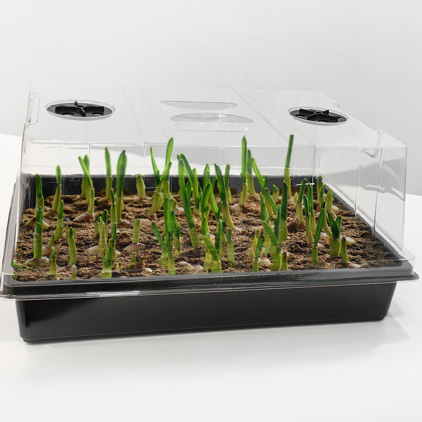 4-Pack Thick Plastic Seed Starter Trays – Durable Germination Kit with 5" Humidity Domes and Grow Light Random, Strong & Reusable for Herbs, Microgreens, Vegetables – Perfect for Home Gardeners