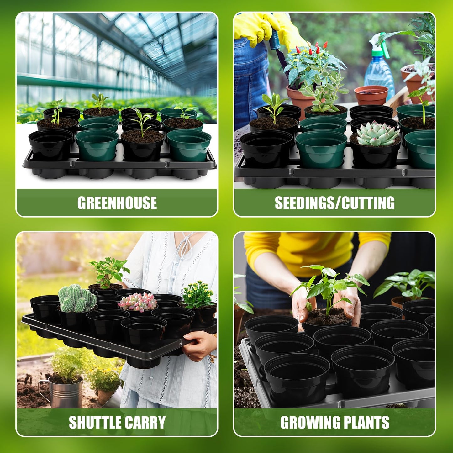 BTPLASTIK 12 Cell Round Nursery Pots Trays 8 Pack, Sturdy Carrying Trays for Holding 4 Inch Plant Pots, Thickened Plastic Seeding Planting Tray, Black