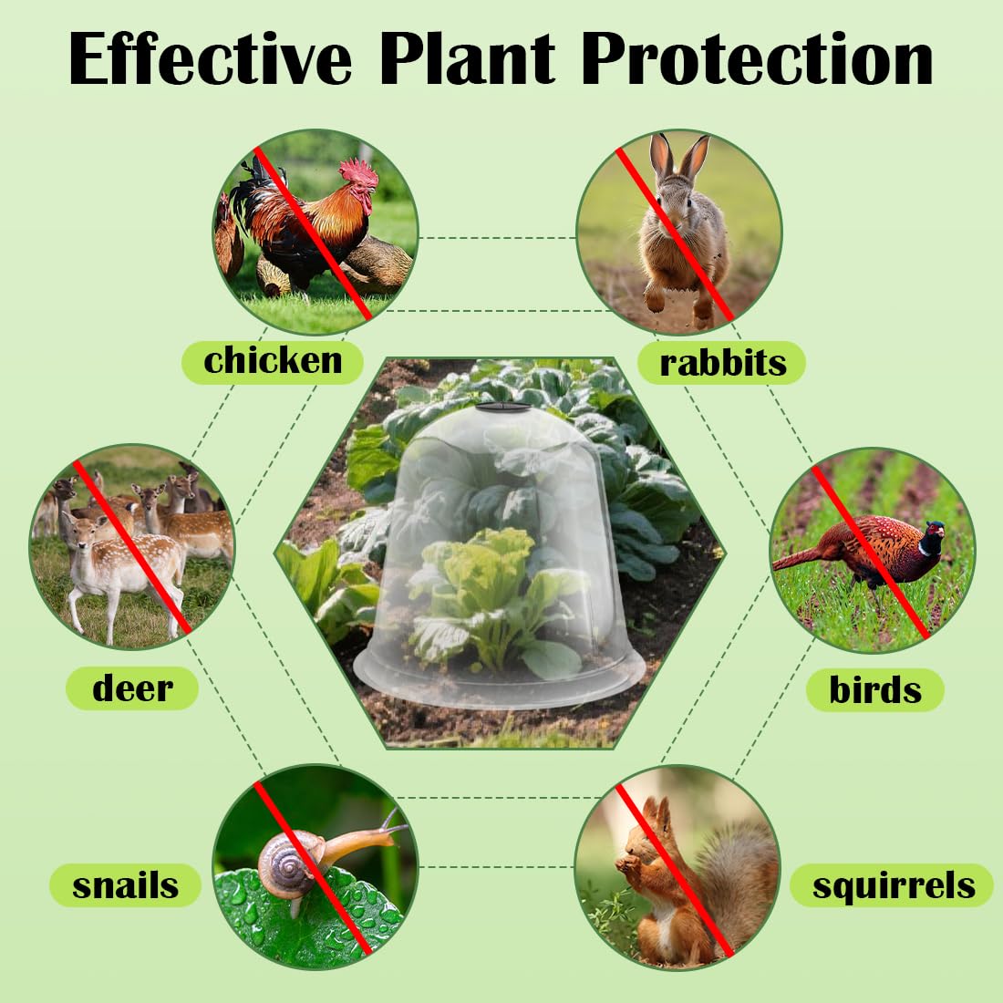 13 Inch Humidity Domes Garden Cloches for Plant Protection, Plant Protectors from Animals, Garden Clear Plant Cover with Ventilation Holes 5 Pack