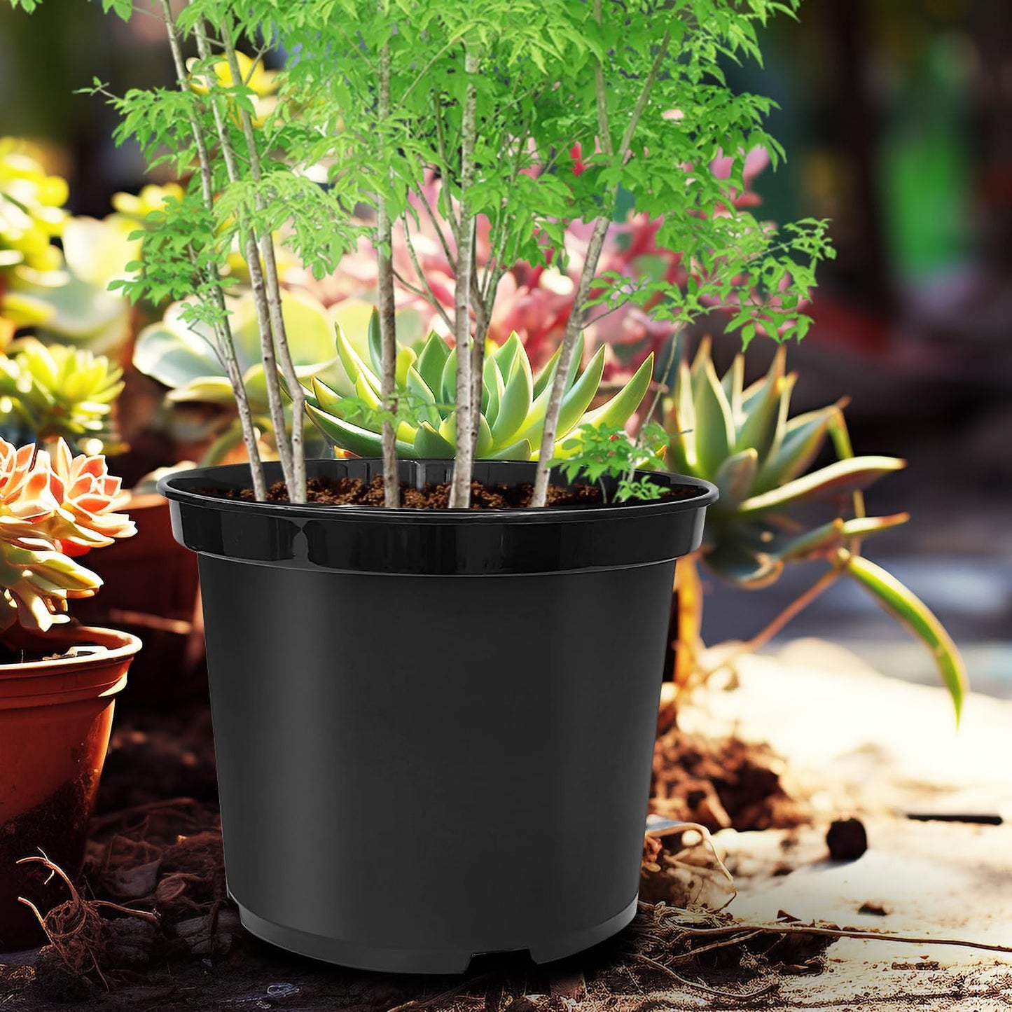 5 Gallon Pots with 10lbs Rocks, 12 Inch Plastic Nursery Pots with Drainage Holes, Round Sturdy Garden Pots with Stones, Deep Nursery Pots for Plants, Gardening Gifts for Women (5-Pack, Black)