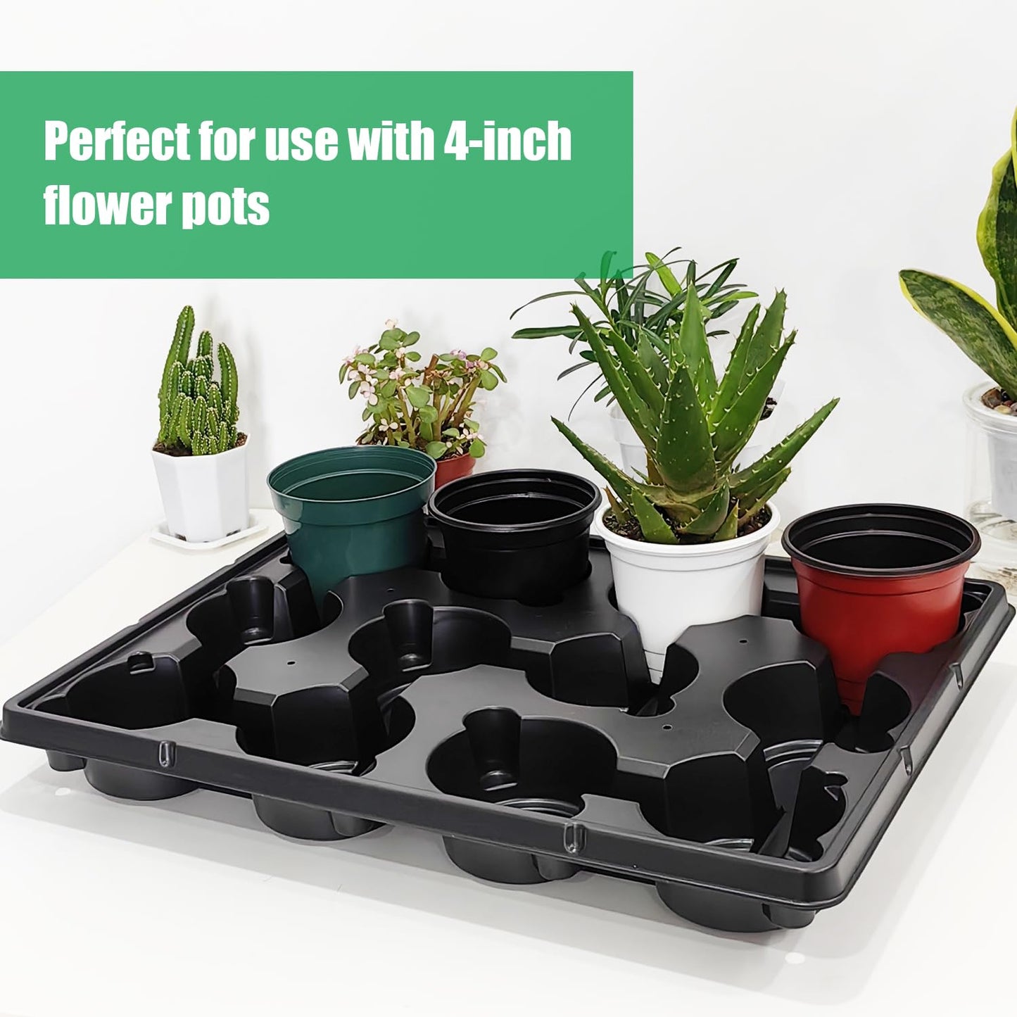 12 Cell Round Nursery Pots Trays Thickened Durable Seedling Pots Shuttle Carrying Trays for Holding 4 inch Nursery Pots (16.85" × 12.6", 10-Pack)