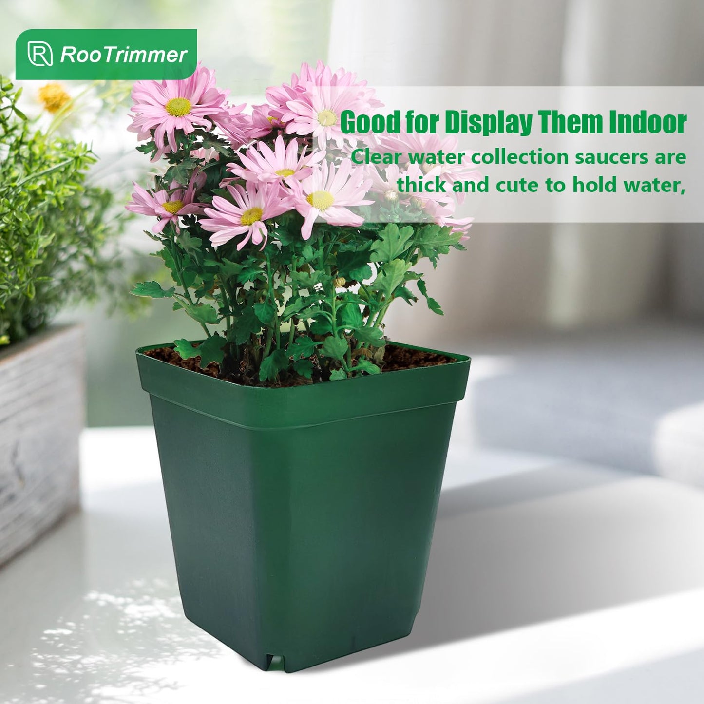 Square Nursery Succulent Pots 4 Inches 60 Pcs Deep Flower Plant Nursery Seedling Grow Pots Plastic with Drainage (Green, 4Inches, 60Pcs)