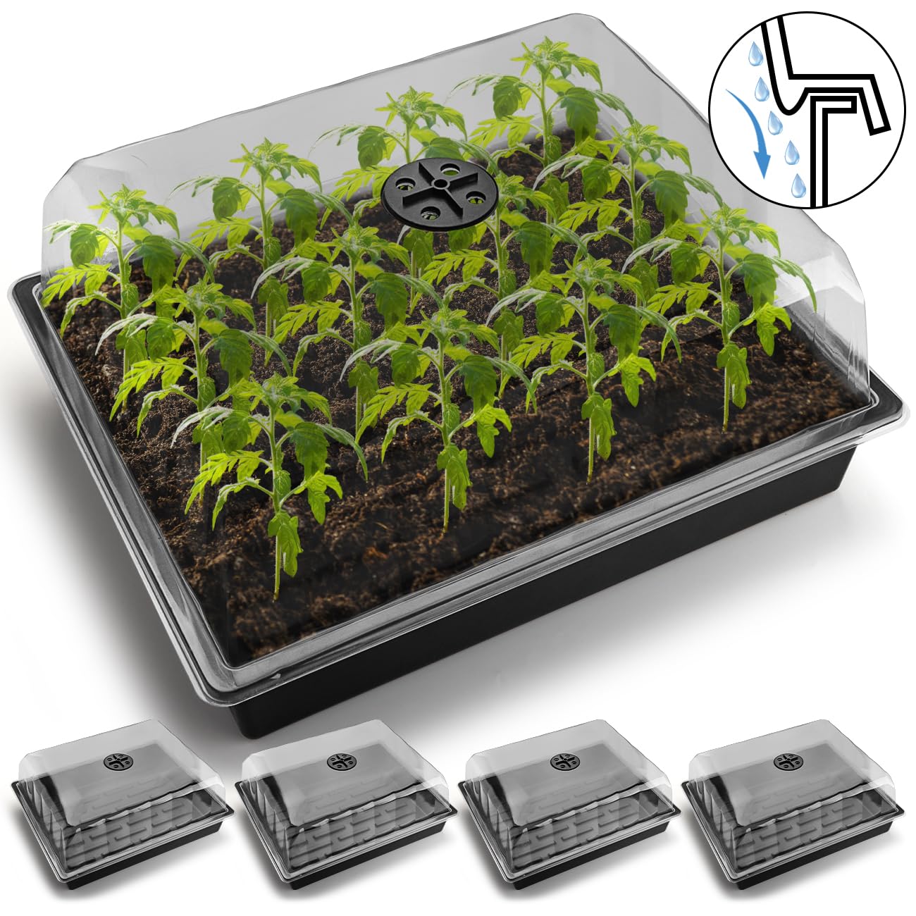 Leak-Proof Seed Starter Trays with 4" Humidity Dome & Drip Tray - 5-Pack Heavy-Duty Plastic Propagation Kit for Herbs, Microgreens, Indoor Gardening, Durable Reusable Plant Growing Trays